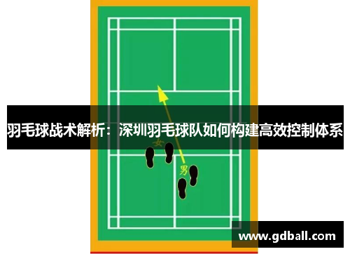 羽毛球战术解析：深圳羽毛球队如何构建高效控制体系