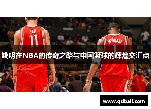 姚明在NBA的传奇之路与中国篮球的辉煌交汇点