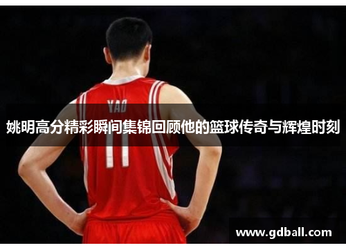 姚明高分精彩瞬间集锦回顾他的篮球传奇与辉煌时刻