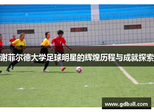 谢菲尔德大学足球明星的辉煌历程与成就探索