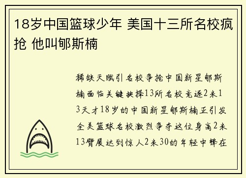 18岁中国篮球少年 美国十三所名校疯抢 他叫郇斯楠